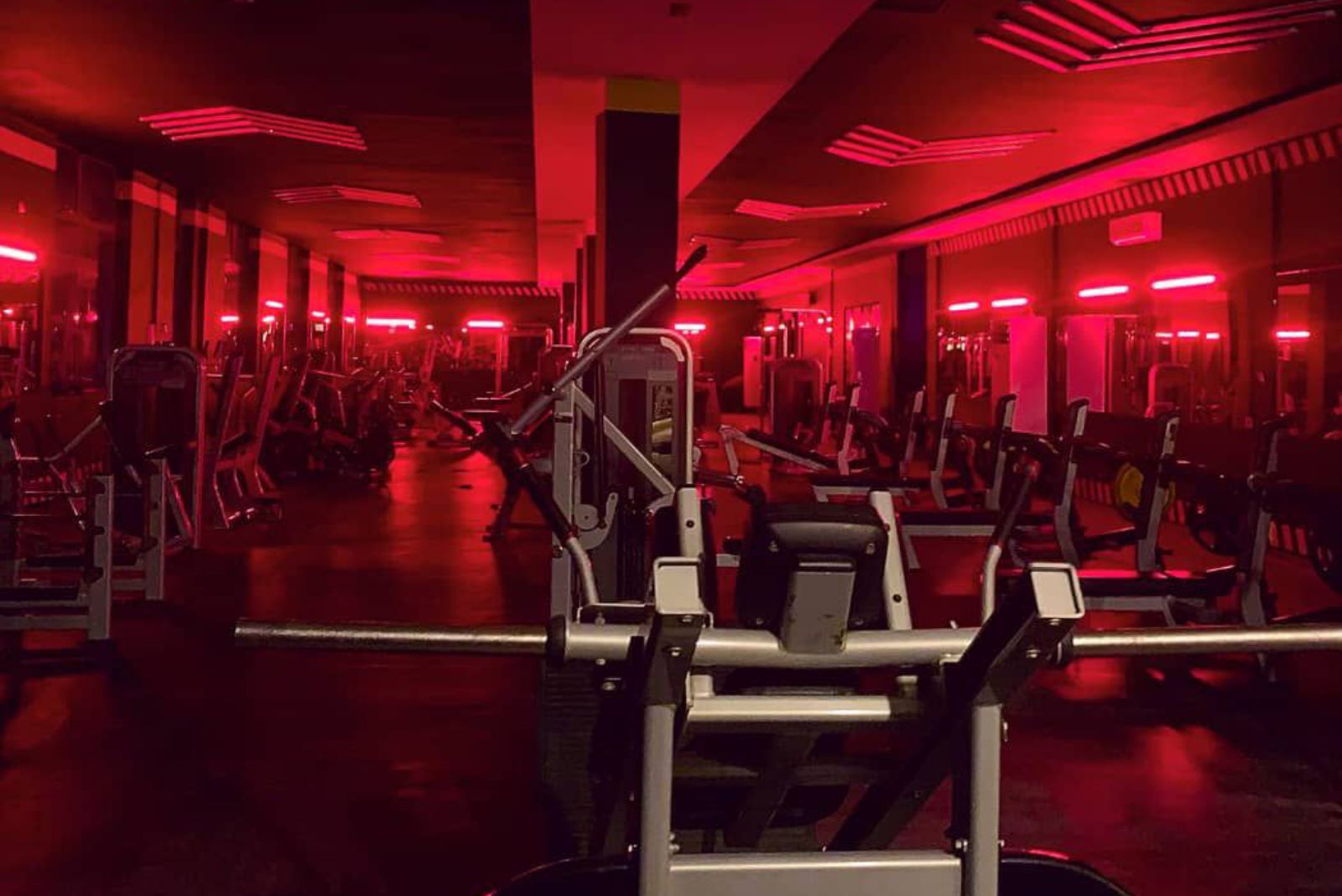 pure-fitness-africa-2