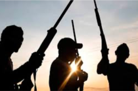 Gunmen Kill 13 in Fresh Attack on Benue Community, Police Yet to Confirm