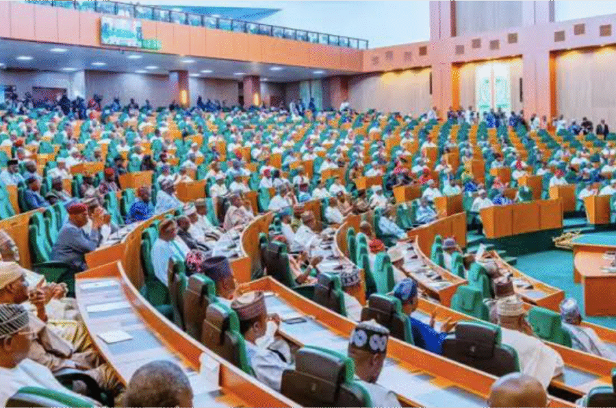 House Erupts as Lawmakers Battle Over Move to Reverse Electoral Act Amendment