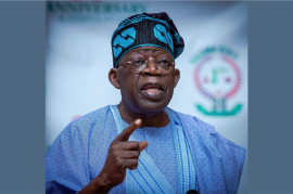 Tinubu Orders Clear Sharing of Electricity Subsidy