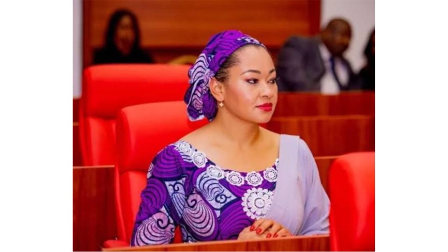 Nigerian Senate Replaces Female Senator in UN Women Conference Delegation