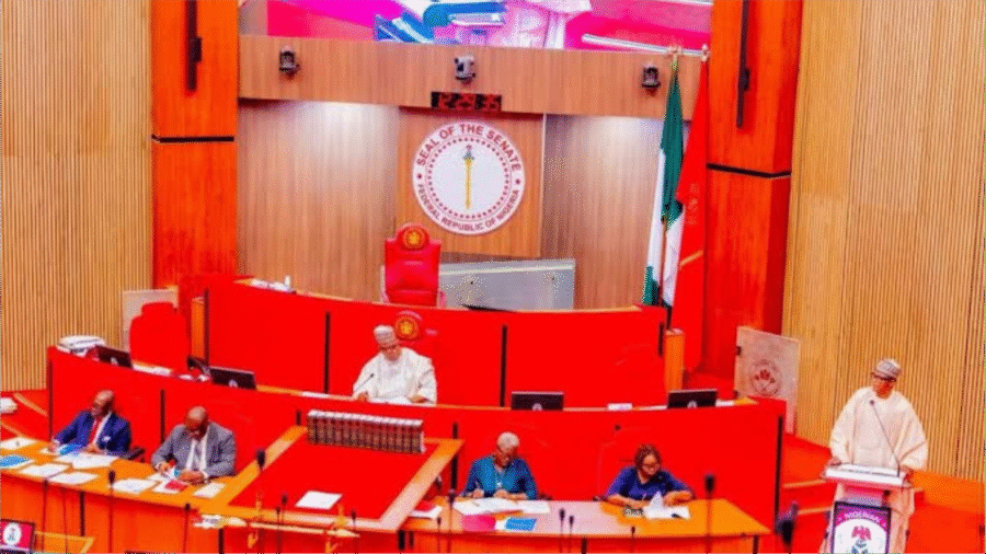 123 Women Seek Senate Seats as Gender Inclusion Debate Intensifies