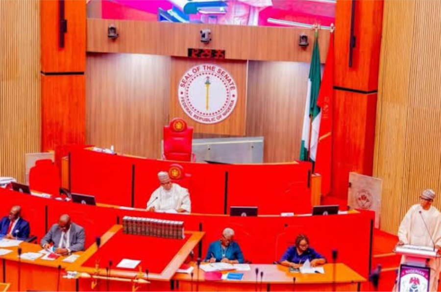 123 Women Seek Senate Seats as Gender Inclusion Debate Intensifies