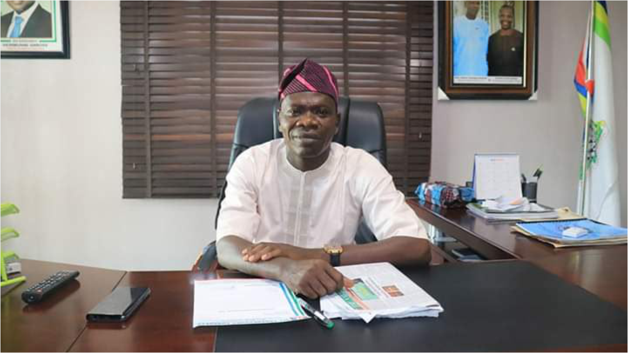 THE BANKOLE FACTOR IMG 1