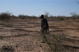 El Niño Could Cause 31,400 Additional Heat-Related Deaths in Nigeria 2